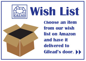 amazon wish list